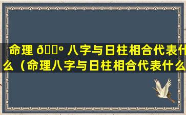 命理 🌺 八字与日柱相合代表什么（命理八字与日柱相合代表什么意思 🐒 ）